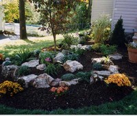 Landscaping & Plantings